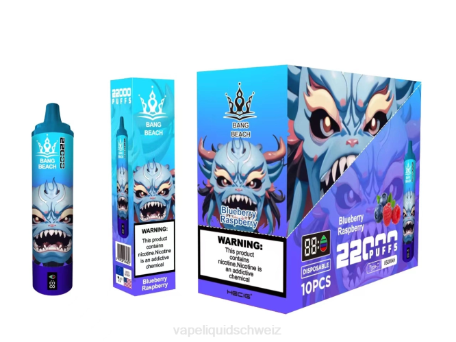 Vape Ohne Nikotin - Bang Beach 22000 Züge intelligenter Bildschirm Blaubeer-Himbeere 0VPV14