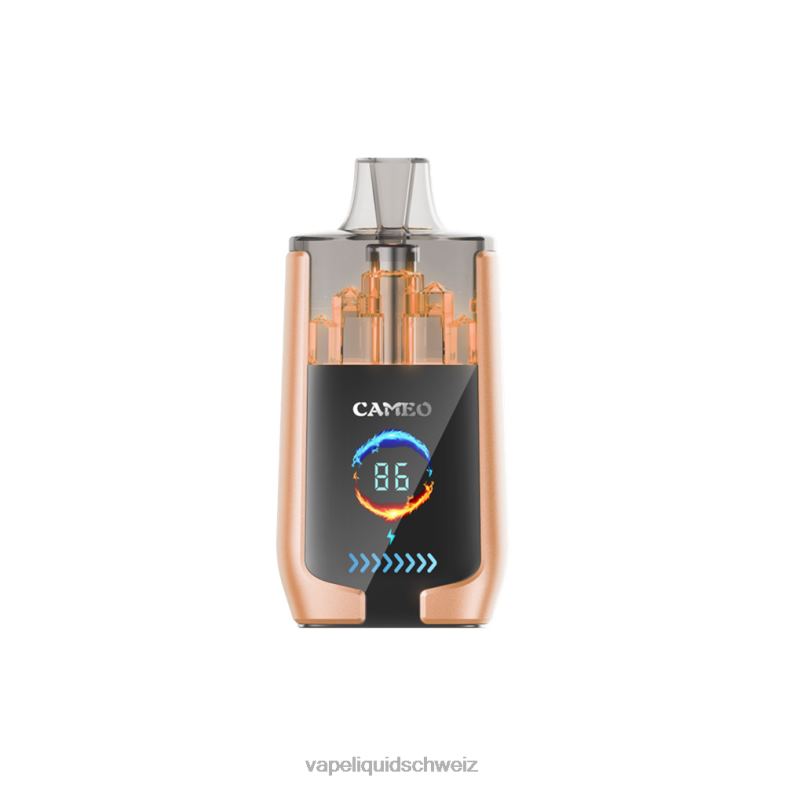 Vape Liquid - LAVIE CAMEO 30000 Züge Kirsche 6626B22