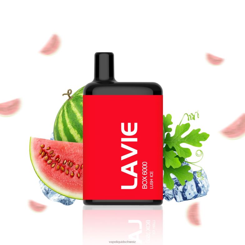 Vape Ohne Nikotin - LAVIE BOX 6000 Züge üppiges Eis 6626B199