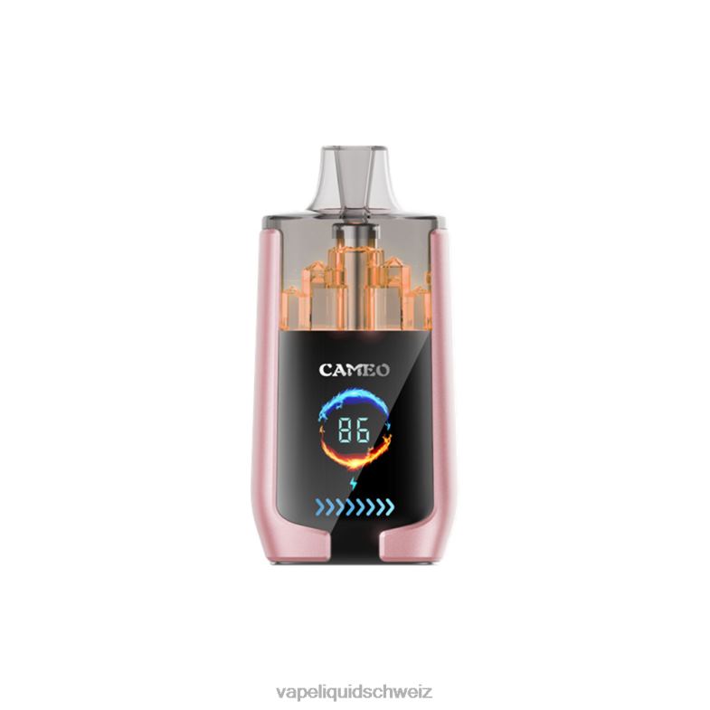 Vape Ohne Nikotin - LAVIE CAMEO 30000 Züge tropische Früchte 6626B19