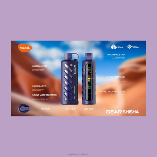 Vape Schweiz - VOZOL Getriebe Shisha 25000 44B81
