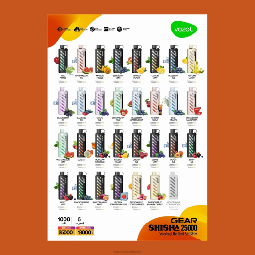Vape Schweiz - VOZOL Getriebe Shisha 25000 44B81