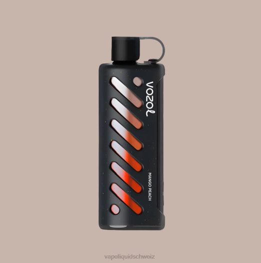Vape Schweiz - VOZOL Getriebe Shisha 25000 44B81