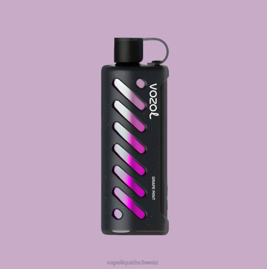 Vape Schweiz - VOZOL Getriebe Shisha 25000 44B81