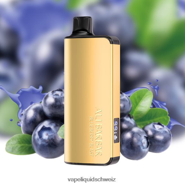 Vape Shop Zürich - Alibarbar Ingot 9000 Einweg-Vaporizer Blaubeer-Explosion L6JN4X15