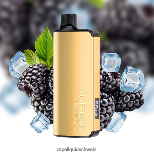 Vape Shop Zürich - Alibarbar Ingot 9000 Einweg-Vaporizer Brombeereis L6JN4X30
