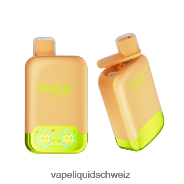 E-Liquid Schweiz - Vapsolo TWINS Einweg-Vapor Zitronen-Limetten- und Wassermeloneneis L6JN4X123